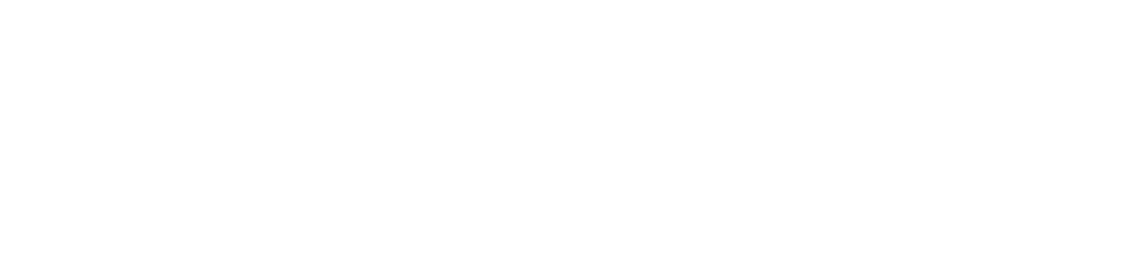 Skills-Sources-White-Logo